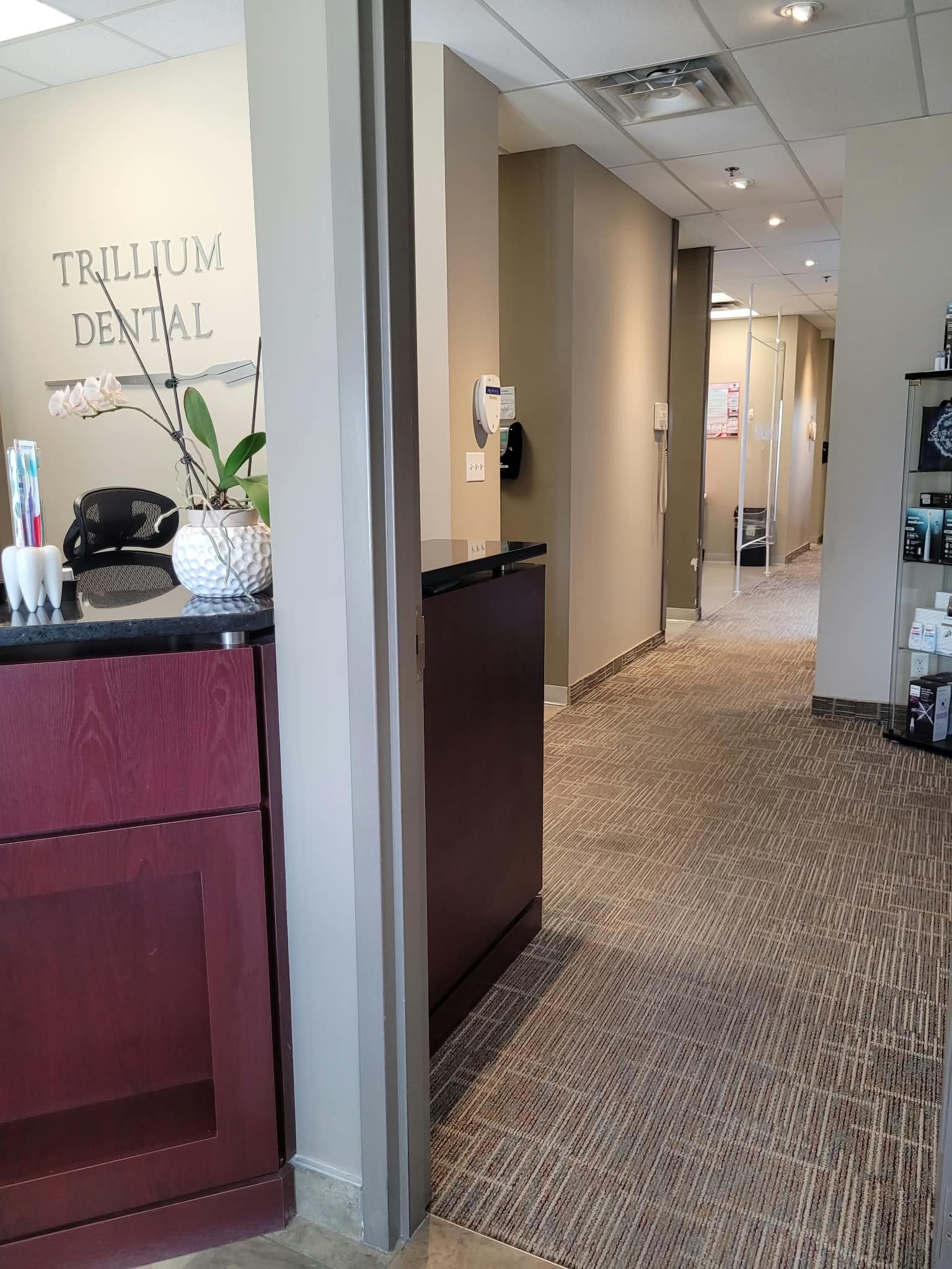 dentist near fallingbrook